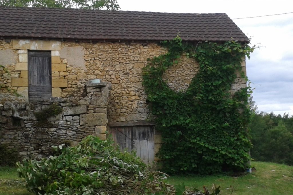 gite en perigord noir : gite la lezardiere